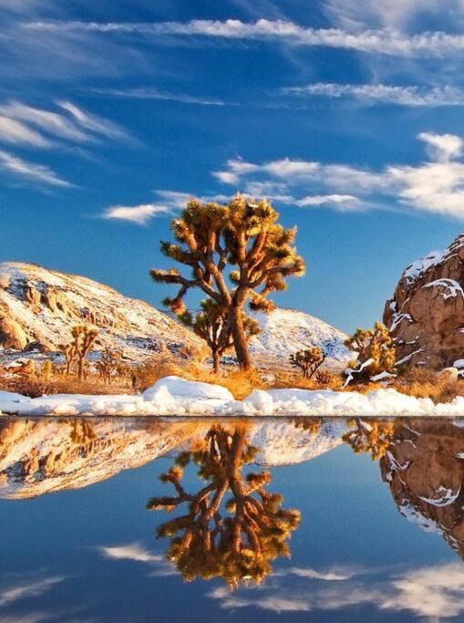 Azteca: Desert Sanctuary In The Paradise Of Palm Springs Villa Buitenkant foto